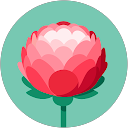 Kathryn Gallagher profile picture